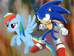 Size: 800x605 | Tagged: safe, artist:petitange1, imported from derpibooru, rainbow dash, 1000 hours in ms paint, crossover, ms paint, sonic the hedgehog, sonic the hedgehog (series)