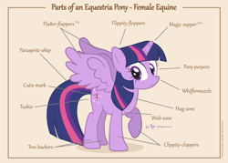 Size: 1050x750 | Tagged: safe, artist:dm29, imported from derpibooru, twilight sparkle, alicorn, pony, anatomy, anatomy chart, anatomy guide, bellyrubs, butt, chart, cute, cutie mark, diabetes, ears, english, eye, eyes, female, female equine, figure, hooves, horn, hug, julian yeo is trying to murder us, looking at you, mare, muzzle, parts of an equestria pony, plot, raised hoof, science, simple background, smiling, solo, spread wings, tail, text, twiabetes, twilight sparkle (alicorn), winged unicorn, wub