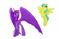 Size: 1024x683 | Tagged: safe, artist:xxlifexdeniedxx, imported from derpibooru, sunshower raindrops, twilight sparkle, alicorn, pony, female, mare, twilight sparkle (alicorn)