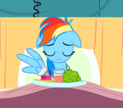 Size: 543x474 | Tagged: safe, imported from derpibooru, screencap, rainbow dash, aardvark, pegasus, pony, read it and weep, adorable distress, animated, bandage, bandaid, bed, cup, cute, drink, drinking, eating, episode, female, food, glass, hoers, horse problems, horses doing horse things, hospital, mare, plate, silly, silly pony, solo, stuck, why the long face