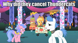 Size: 960x539 | Tagged: safe, imported from derpibooru, applejack, orion, royal ribbon, shooting star (character), caption, image macro, meme, obligatory pony, thundercats