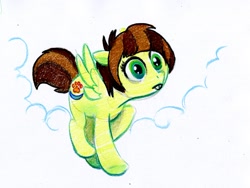 Size: 2443x1839 | Tagged: safe, artist:psychoon, imported from derpibooru, oc, oc only, oc:soulbreath, pony, female, mare, solo