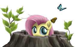 Size: 5600x3500 | Tagged: safe, artist:symbianl, imported from derpibooru, fluttershy, butterfly, female, hiding, simple background, solo, transparent background, tree, tree stump