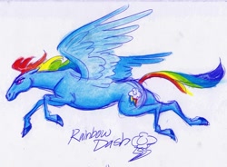 Size: 1024x753 | Tagged: dead source, safe, artist:jazz-dafunk, imported from derpibooru, rainbow dash, female, flying, realistic, solo