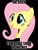 Size: 480x640 | Tagged: safe, imported from derpibooru, fluttershy, female, image macro, meme, painfully innocent fluttershy, semi-vulgar, solo