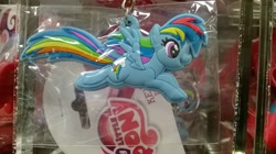 Size: 2592x1456 | Tagged: safe, imported from derpibooru, rainbow dash, books-a-million, merchandise