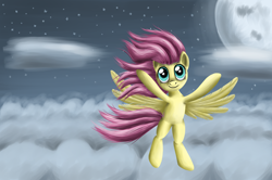 Size: 1920x1276 | Tagged: safe, artist:polex, artist:polex-p, imported from derpibooru, fluttershy, pegasus, cloud, cloudy, female, looking up, mare, moon, night, night sky, sky, solo