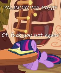 Size: 557x664 | Tagged: safe, imported from derpibooru, twilight sparkle, book, facebook, facebooking, female, insane pony thread, palindrome, solo, text, vulgar