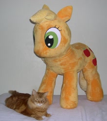 Size: 1000x1135 | Tagged: safe, artist:bladespark, imported from derpibooru, applejack, cat, hatless, irl, missing accessory, photo, plushie, size comparison, solo