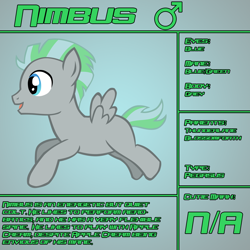 Size: 1200x1200 | Tagged: safe, artist:ludiculouspegasus, imported from derpibooru, oc, oc only, oc:nimbus, pegasus, pony, bio, colt, male, offspring, parent:blossomforth, parent:thunderlane, parents:blossomlane, reference sheet, solo, text
