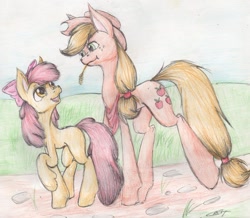 Size: 1024x893 | Tagged: dead source, safe, artist:alcidence, imported from derpibooru, apple bloom, applejack, earth pony, pony, traditional art