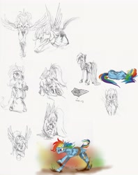 Size: 3728x4718 | Tagged: safe, artist:xenon, imported from derpibooru, rainbow dash, back, bound wings, female, mud, on side, partial color, rainbond dash, scene interpretation, side, sketch dump, solo, tied up, traditional art