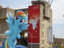 Size: 4608x3456 | Tagged: safe, artist:ojhat, imported from derpibooru, rainbow dash, africa, airport, irl, photo, ponies in real life, sign, vector