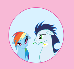 Size: 1024x950 | Tagged: safe, artist:tsand106, imported from derpibooru, daisy, flower wishes, rainbow dash, soarin', female, flower, flower in mouth, male, mouth hold, shipping, soarindash, straight