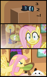 Size: 1500x2448 | Tagged: safe, artist:flare-chaser, imported from derpibooru, angel bunny, fluttershy, pegasus, pony, rabbit, animal, camera, cottage, cute, female, floppy ears, fluttershy's cottage, funny, mare, photo, plot, spread wings, window, wings