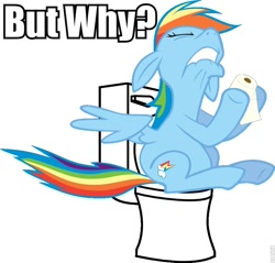 Size: 800x766 | Tagged: safe, imported from derpibooru, rainbow dash, but why, fanfic, female, implied pooping, my life is ruined, sitting on toilet, solo, toilet, toilet humor