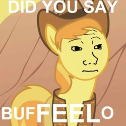 Size: 475x475 | Tagged: safe, artist:acstlu, edit, edited screencap, imported from derpibooru, screencap, braeburn, buffalo, over a barrel, clothes, cropped, feels, hat, image macro, male, meme, pun, solo, tfw, that feel, vest, wojak