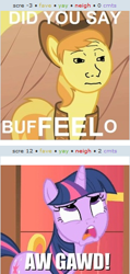 Size: 252x531 | Tagged: safe, edit, edited screencap, imported from derpibooru, screencap, braeburn, twilight sparkle, buffalo, derpibooru, over a barrel, aw gawd, clothes, cropped, exploitable meme, feels, hat, image macro, juxtaposition, juxtaposition win, meme, meta, omg, pun, that feel, vest