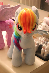 Size: 1280x1920 | Tagged: safe, imported from derpibooru, rainbow dash, build-a-bear, custom, customized toy, irl, photo, plushie