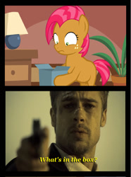 Size: 651x876 | Tagged: safe, imported from derpibooru, babs seed, princess twilight sparkle (episode), bad gift meme, brad pitt, exploitable meme, implied decapitation, meme, se7en, what's in the box?