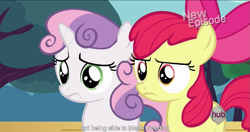 Size: 1151x610 | Tagged: safe, imported from derpibooru, screencap, apple bloom, sweetie belle, flight to the finish, meme, youtube caption