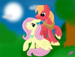 Size: 900x675 | Tagged: safe, artist:saphira930, imported from derpibooru, big macintosh, fluttershy, earth pony, pony, ear bite, floppy ears, fluttermac, male, shipping, stallion, straight