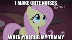 Size: 1280x720 | Tagged: safe, imported from derpibooru, fluttershy, castle mane-ia, bellyrubs, bronybait, cute, female, image macro, shyabetes, solo, text