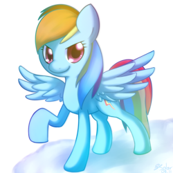 Size: 1000x1000 | Tagged: safe, artist:solar-slash, imported from derpibooru, rainbow dash, female, solo