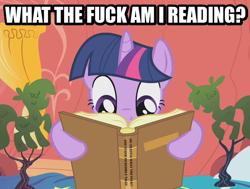 Size: 628x475 | Tagged: safe, imported from derpibooru, twilight sparkle, book, female, image macro, reaction image, reading, solo, vulgar, what the fuck am i reading