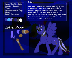 Size: 1280x1024 | Tagged: safe, artist:platynumwings, imported from derpibooru, oc, oc only, alicorn, pony, alicorn oc, dashie junior, paint tool sai, photoshop, reference sheet, solo