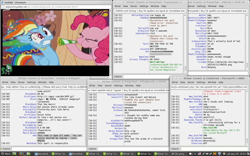 Size: 1440x900 | Tagged: safe, imported from derpibooru, pinkie pie, rainbow dash, bats!, chat, reaction, text