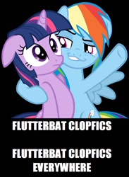 Size: 562x766 | Tagged: safe, imported from derpibooru, rainbow dash, twilight sparkle, bat, clopfic, grin, smug, smugdash, text, x x everywhere