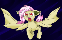 Size: 1024x673 | Tagged: safe, artist:novaspark, imported from derpibooru, fluttershy, bat pony, pony, bats!, female, flutterbat, race swap, solo