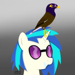 Size: 1259x1259 | Tagged: safe, artist:phallen1, imported from derpibooru, dj pon-3, vinyl scratch, bird, pet