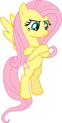 Size: 3167x6215 | Tagged: safe, artist:hornflakes, imported from derpibooru, fluttershy, pony, putting your hoof down, absurd resolution, female, simple background, solo, transparent background, vector