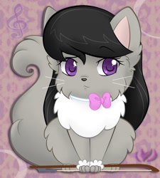 Size: 800x890 | Tagged: safe, artist:raininess, imported from derpibooru, octavia melody, cat, catified, cattavia, cute, female, fluffy, solo, species swap, tavibetes