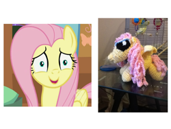 Size: 800x600 | Tagged: artist needed, safe, imported from derpibooru, fluttershy, irl, photo, plushie, reaction image, wat