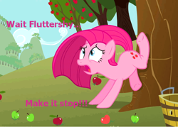 Size: 756x540 | Tagged: safe, imported from derpibooru, pinkie pie, bucking, fluttertree, pinkamena diane pie, tree