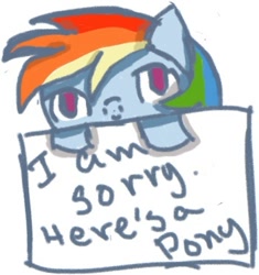 Size: 350x373 | Tagged: safe, artist:looneytastic, imported from derpibooru, rainbow dash, sign, sorry, text