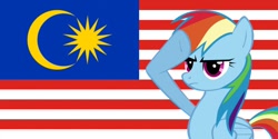 Size: 720x360 | Tagged: safe, imported from derpibooru, rainbow dash, pony, female, flag, malaysia, rainbow dash salutes, salute, solo