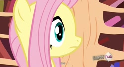 Size: 1593x863 | Tagged: safe, imported from derpibooru, screencap, fluttershy, fluttertree, hub logo, youtube caption, youtube link