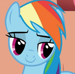 Size: 512x503 | Tagged: safe, imported from derpibooru, screencap, rainbow dash, pegasus, pony, bedroom eyes, cropped, female, lidded eyes, mare, smiling, solo
