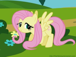 Size: 1600x1200 | Tagged: safe, imported from derpibooru, fluttershy, pony, female, solo