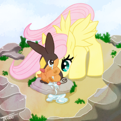 Size: 400x400 | Tagged: safe, artist:tora-noko, imported from derpibooru, fluttershy, tepig, crossover, crying, hurt/comfort, pokémon, tears of pain