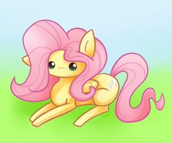 Size: 1552x1285 | Tagged: safe, artist:blacky-moon, imported from derpibooru, fluttershy, pony, chibi, female, solo