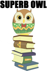 Size: 900x1350 | Tagged: safe, artist:quanno3, edit, imported from derpibooru, owl, may the best pet win, book, bowtie, caption, clothes, image macro, pun, simple background, superb owl, sweater, transparent, transparent background