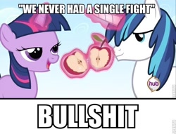 Size: 640x488 | Tagged: safe, edit, edited screencap, imported from derpibooru, screencap, shining armor, twilight sparkle, a canterlot wedding, apple, brother and sister, duo, female, filly, filly twilight sparkle, food, hub logo, image macro, male, roflbot, siblings, song reference, teen shining armor, teenager, text, vulgar, we never had one single fight, younger