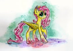 Size: 2342x1619 | Tagged: safe, artist:smartmeggie, imported from derpibooru, fluttershy, pony, female, solo, traditional art
