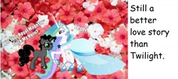 Size: 1336x600 | Tagged: safe, imported from derpibooru, princess celestia, oc, pony, pony creator, blank flank, canon x oc, clothes, comic sans, dress, flower, glasses, hornjob, male, meme, shipping, shoes, stallion, still a better love story than twilight, straight, text, watch