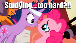 Size: 1126x632 | Tagged: safe, edit, edited screencap, imported from derpibooru, screencap, pinkie pie, twilight sparkle, it's about time, season 2, bloodshot eyes, boop, caption, eye contact, frown, headband, image macro, meme, messy mane, nose wrinkle, noseboop, scrunchy face, studying, wide eyes
